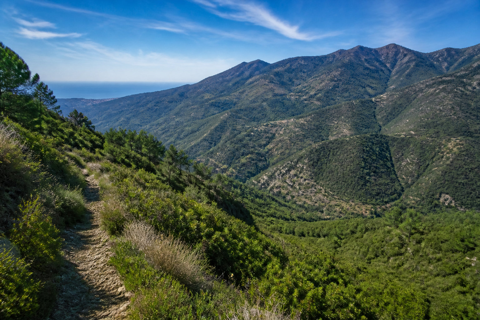 Comment organiser votre visite dans la vallée de la Nervia ?